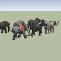Elephant animal 3d model