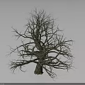 Rustic Wood and Stone Tree Trunk with Outstretched Branches and Green Moss Base 3d model