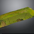 Detailed 3D Terrain Model With Green Vegetation And Yellow Land Undulating Topography