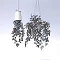 Hanging Basket Plants With Lush Green Trailing Leaves For Indoor Home Decor