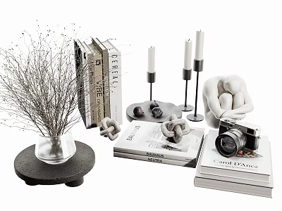 Decorative Ornaments Set With Dried Branches Books Candles Human Figure Sculpture And Vintage Camera 3d model