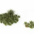 Grass is 3d model