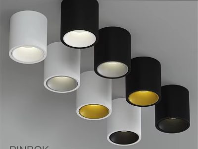 Modern Black And White Downlights And Spotlights With Warm Yellow White Light Ceiling Mounted Design 3d model