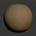 Fresh Ripe Whole Cantaloupe Melon with Orange Netted Skin on Dark Background
