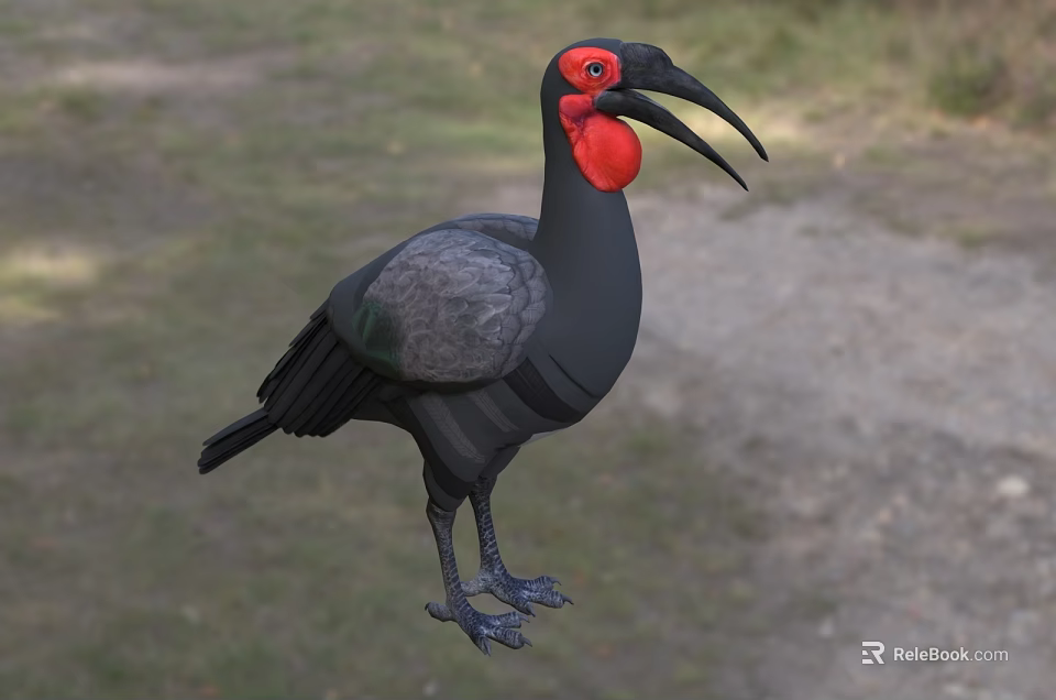 Large Black Bird With Red Head And Long Curved Beak Standing In Natural Habitat 3d model 