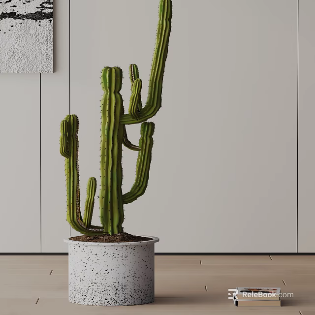Indoor Cactus Potted Plant In White Speckled Pot With Light Wall And Wooden Floor 3d model 