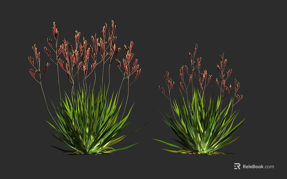 Two Green Plants With Long Slender Leaves And Red Spiky Flowers 3d model 