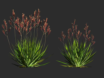 Two Green Plants With Long Slender Leaves And Red Spiky Flowers 3d model