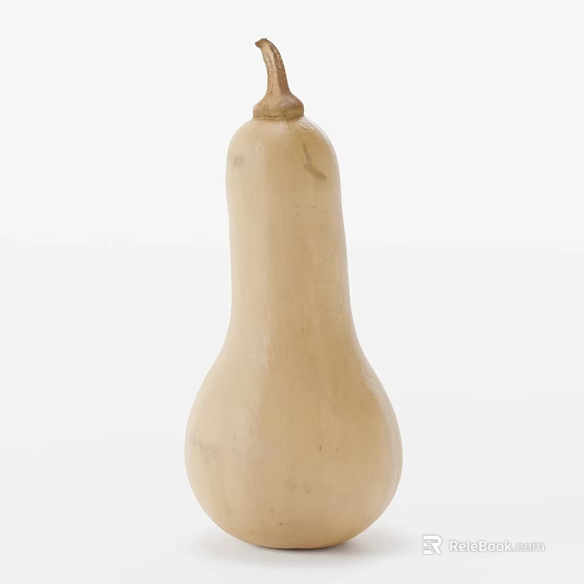 Fresh Butternut Squash with Smooth Yellow Skin and Pear Shaped Form 3d model 