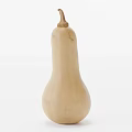 Fresh Butternut Squash with Smooth Yellow Skin and Pear Shaped Form