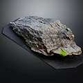 Natural Wooden Stone Slab Placed On Black Mat Featuring Green Moss Accent