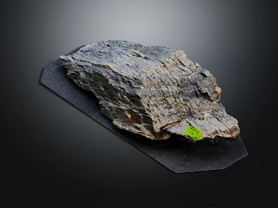 Natural Wooden Stone Slab Placed On Black Mat Featuring Green Moss Accent 3d model