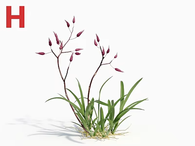 Vibrant Flowering Plant With Green Leaves Purple Buds And Slender Stems 3d model