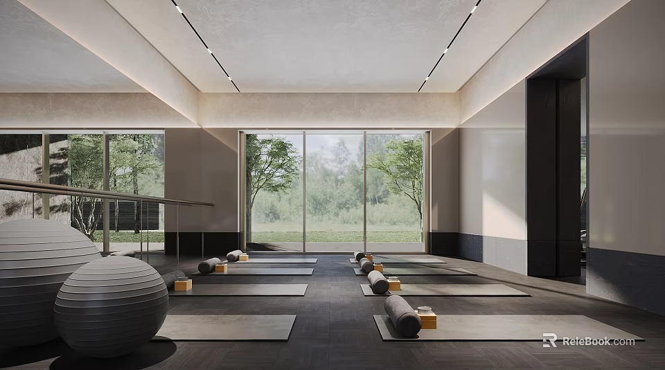 Spacious Yoga Fitness Studio With Mats Rollers Ball And Large Windows 3d model 