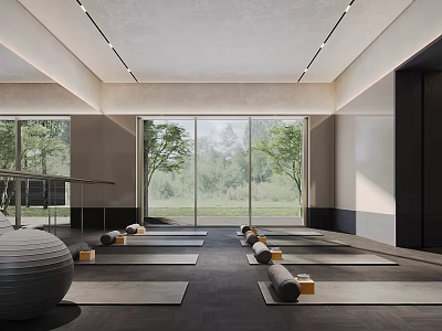 Spacious Yoga Fitness Studio With Mats Rollers Ball And Large Windows 3d model