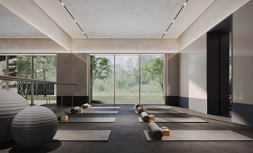 Modern Yoga Room Gym 3d model