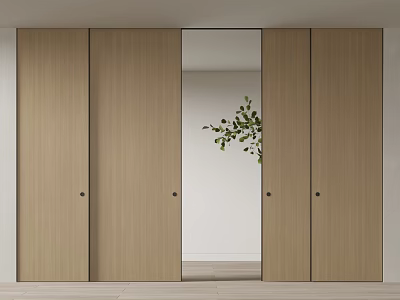 Modern Wooden Sliding Doors With Glass Panel And Green Plant Interior Design 3d model