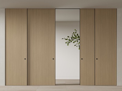 Modern invisible sliding door model