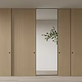 Modern Wooden Sliding Doors With Glass Panel And Green Plant Interior Design