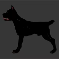 Black Dog Standing Alert with Perked Ears and Tongue Out on Dark Background