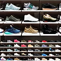 Stylish Casual Shoes Display With Various Colors And Trendy Designs On Shelves