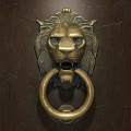 Ornate Vintage Brass Lion Head Door Knocker on Dark Wooden Door Panel