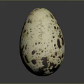 Quail Eggs Egg Ingredients Game Items 3d model