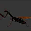 3D Rendered Orange And Green Mantis In Dynamic Standing Pose
