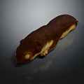 Realistic Brown Animal 3D Model With Long Body And Light Underbelly On Dark Background