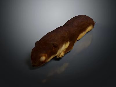 Realistic Brown Animal 3D Model With Long Body And Light Underbelly On Dark Background 3d model