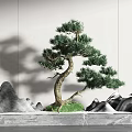 Garden Ornament With Curved Pine Tree Rock Formations Green Grass And Marble Floor