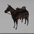 Equestrian Character And Brown Horse With Saddle Bridle Standing On Dark Gray Background