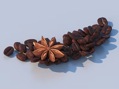 Star Anise and Coffee Beans Arranged on a Light Blue Surface 3d model