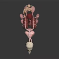 Detailed 3D Anatomical Model Of Animal Internal Organs With Skeletal Structure And Blood Vessels