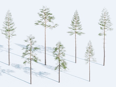 Modern Tree Pine Tree Landscape Tree 3d model