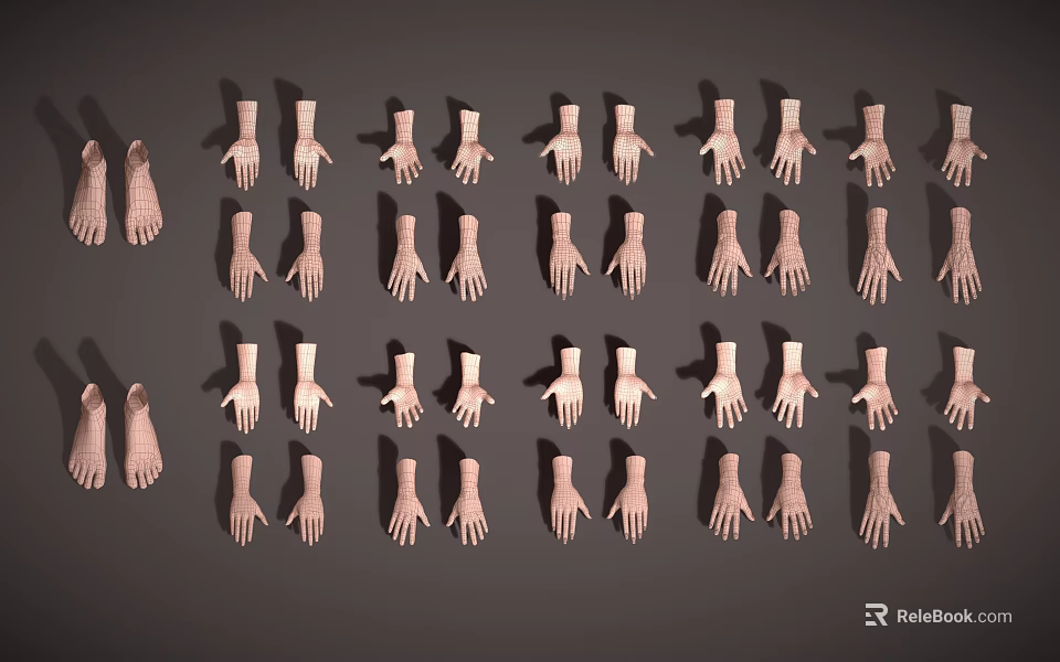 Array of Diverse Hands in Various Poses Arranged Neatly on Gray Background 3d model 