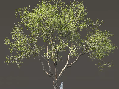 A Tall Tree with Green Leaves and Small Figure on Trunk 3d model