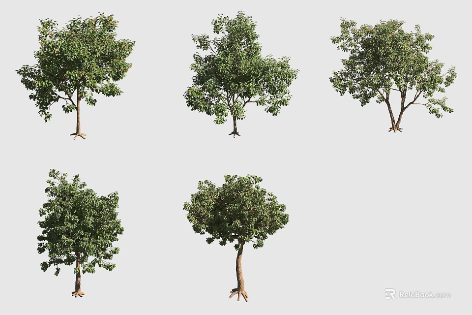 Various Garden Shrubs Showcasing Green Foliage and Diverse Natural Shapes in Outdoor Spaces 3d model 