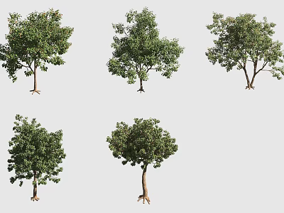 Various Garden Shrubs Showcasing Green Foliage and Diverse Natural Shapes in Outdoor Spaces 3d model