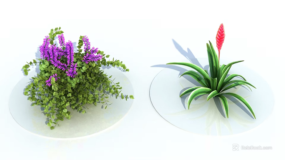 Vibrant Shrub Plants Featuring Purple Flowers Green Leaves And Red Flower Foliage 3d model 