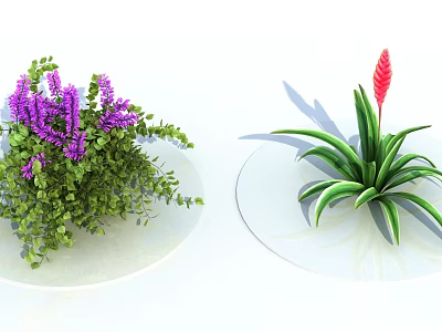 Vibrant Shrub Plants Featuring Purple Flowers Green Leaves And Red Flower Foliage 3d model