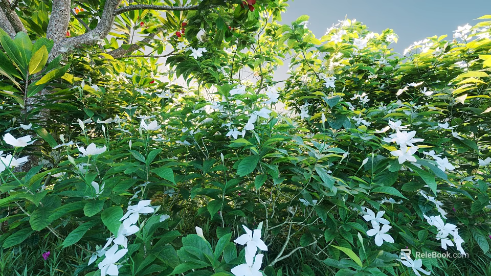 Garden Shrubs With Lush Green Leaves And White Flowers In Sunlight 3d model 