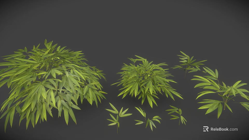 Green Leafy Plants With Long Fresh Leaves In Various Sizes Bushes And Small Clusters 3d model 