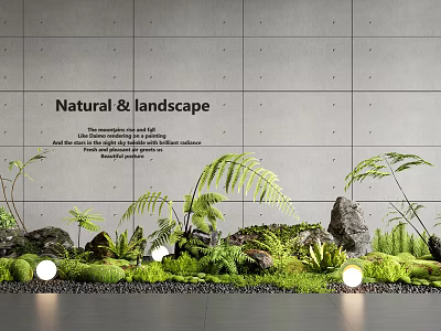 Natural Indoor Landscape Design With Green Ferns Rocks Moss And Lighting Against Gray Textured Wall 3d model