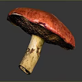 Red Mushroom With Vibrant Red Cap And Yellow Stem On Gray Background