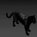 Realistic Black Panther Game Movie Character 3D Model on Green Background