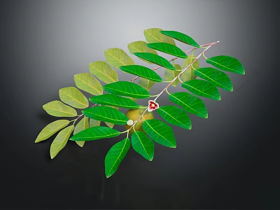 Vibrant Green Plant Branch With Lush Foliage And Small Red Fruit 3d model