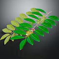 Vibrant Green Plant Branch With Lush Foliage And Small Red Fruit