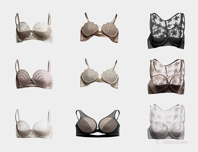 Fashionable Women's Bras with Various Styles Colors and Lace Details 3d model 