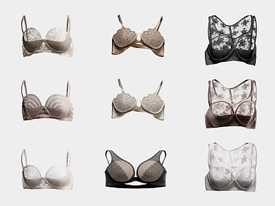 Fashionable Women's Bras with Various Styles Colors and Lace Details 3d model